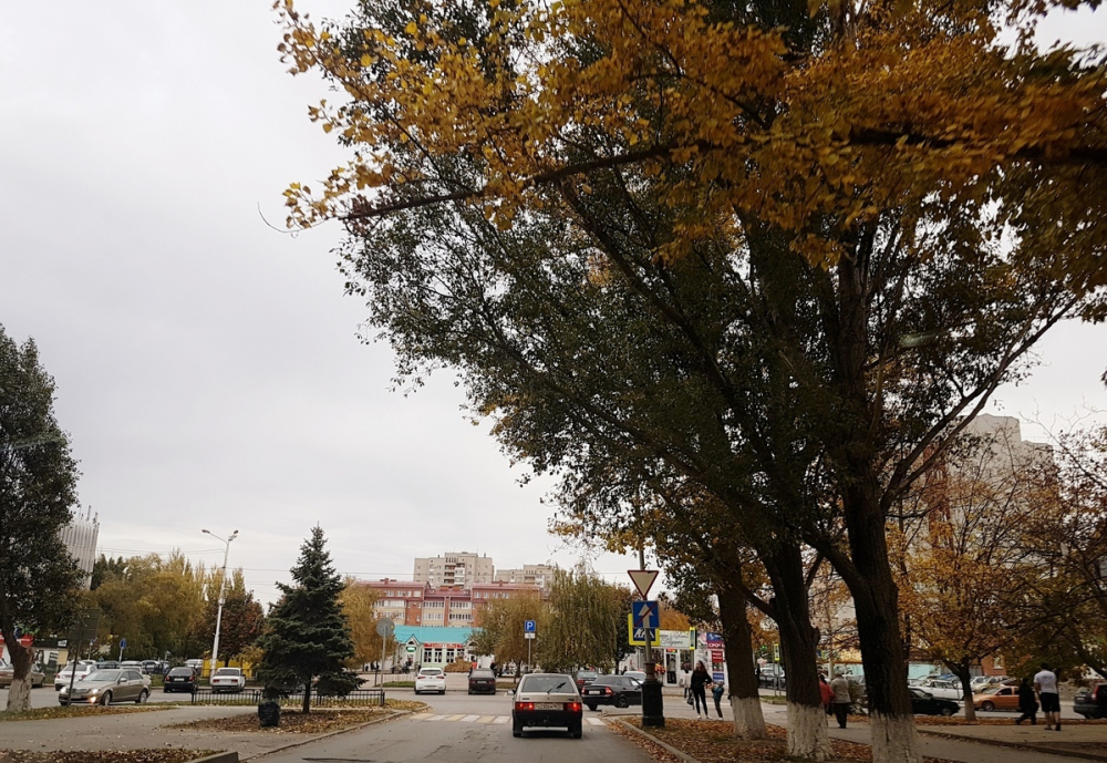 Облачно и достаточно тепло будет сегодня в Волгодонске Облачно и достаточно тепло будет сегодня в Волгодонске
