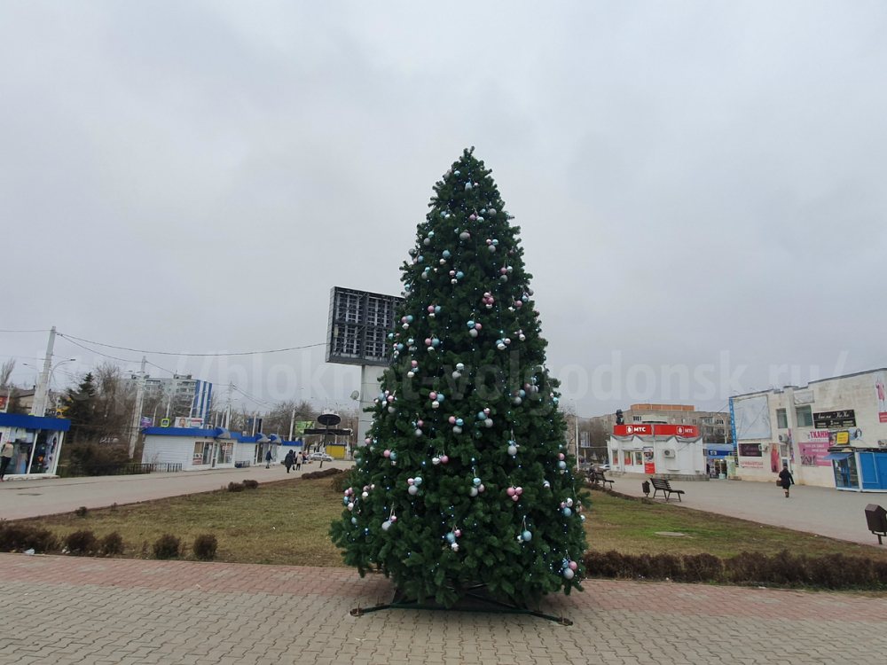 Красивая и высокая елка украсила Торговую площадь Красивая и высокая елка украсила Торговую площадь