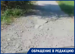 Волгодончанка показала «прелести» забытой тротуарной дорожки в парке Молодежный Волгодончанка показала «прелести» забытой тротуарной дорожки в парке Молодежный