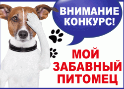 Заканчивается прием работ на конкурс «Мой забавный питомец» Заканчивается прием работ на конкурс «Мой забавный питомец»