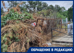 «Из могил устроили свалки»: волгодончанка в шоке от состояния кладбища №1 «Из могил устроили свалки»: волгодончанка в шоке от состояния кладбища №1