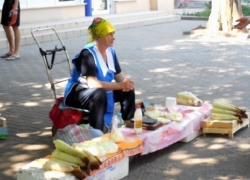 Ветеринарные врачи отговаривают волгодонцев покупать продукты у уличных торговцев Ветеринарные врачи отговаривают волгодонцев покупать продукты у уличных торговцев