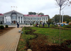 В Волгодонске высадили более 2000 деревьев и кустарников В Волгодонске высадили более 2000 деревьев и кустарников