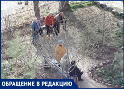 «Так проходит самоизоляция пенсионеров в Волгодонске»: читатель «Так проходит самоизоляция пенсионеров в Волгодонске»: читатель