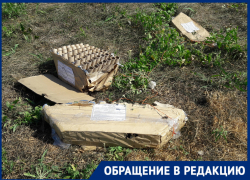 Прекрасен праздничный салют, но мусор после него никто не соизволил убрать: волгодончанка Прекрасен праздничный салют, но мусор после него никто не соизволил убрать: волгодончанка