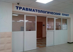 За неделю три человека обратились в травмпункт Волгодонска с укусами животных За неделю три человека обратились в травмпункт Волгодонска с укусами животных