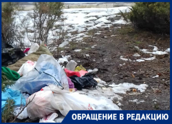 Рядом с памятником чернобыльцам появилось лежбище бомжей Рядом с памятником чернобыльцам появилось лежбище бомжей
