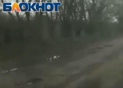 Я плачу налог за машину 12 000 рублей и хочу ездить по хорошим дорогам, - житель Цимлянска Я плачу налог за машину 12 000 рублей и хочу ездить по хорошим дорогам, - житель Цимлянска