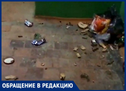 «Свиньи по соседству»: волгодонцы шокированы поведением соседей и не могут поймать за руку хулиганов «Свиньи по соседству»: волгодонцы шокированы поведением соседей и не могут поймать за руку хулиганов