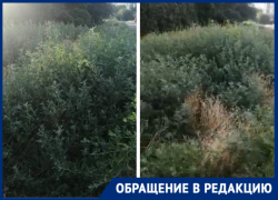 «Сложно подобрать слова, глядя на этот беспредел»: волгодонцы о высокой траве в новой части города «Сложно подобрать слова, глядя на этот беспредел»: волгодонцы о высокой траве в новой части города