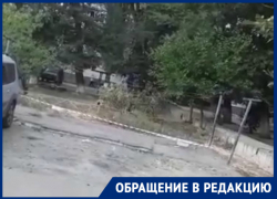 «Детям опасно находиться на площадке»: волгодончанка просит спилить опасные ветки «Детям опасно находиться на площадке»: волгодончанка просит спилить опасные ветки