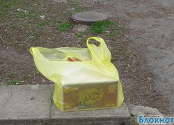 Волгодонцы приняли коробку с котенком за бомбу Волгодонцы приняли коробку с котенком за бомбу