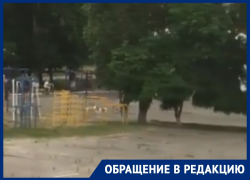 Стая собак поселилась на стадионе школы №23 в Волгодонске Стая собак поселилась на стадионе школы №23 в Волгодонске
