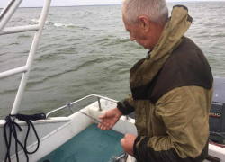 В Цимлянском водохранилище поймали браконьеров В Цимлянском водохранилище поймали браконьеров