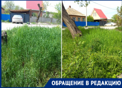 «В этом году решили обойти покос стороной?»: волгодонцы просят скосить траву в старой части города «В этом году решили обойти покос стороной?»: волгодонцы просят скосить траву в старой части города