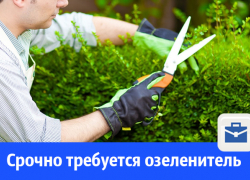 На базу отдыха требуется озеленитель На базу отдыха требуется озеленитель