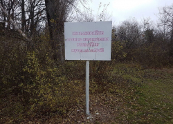 В Волгодонске заново обмерили и пересчитали городские леса В Волгодонске заново обмерили и пересчитали городские леса