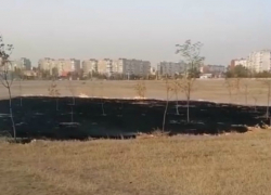 Крупный пожар произошел в парке «Молодежный» в Волгодонске Крупный пожар произошел в парке «Молодежный» в Волгодонске