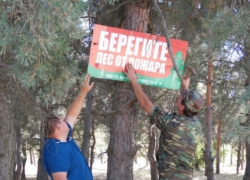 За 2,2 миллиона рублей в Волгодонске в 2019 году будет обеспечена охрана и защита лесов За 2,2 миллиона рублей в Волгодонске в 2019 году будет обеспечена охрана и защита лесов