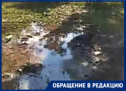 «Третий день затапливает улицу Курчатова»: волгодончанка «Третий день затапливает улицу Курчатова»: волгодончанка