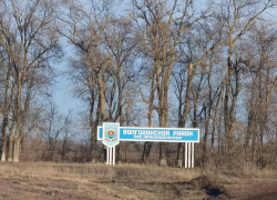 Трупы коров на земельном участке обнаружила прокуратура в Волгодонском районе Трупы коров на земельном участке обнаружила прокуратура в Волгодонском районе