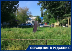 «Горка-сломай ногу» и «беседка-алкашка»: волгодончанка описала детскую площадку в их дворе «Горка-сломай ногу» и «беседка-алкашка»: волгодончанка описала детскую площадку в их дворе