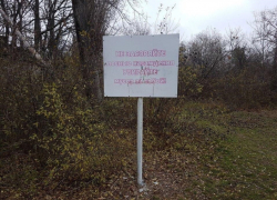 Минприроды сообщило об охране дендрария в Волгодонске от строительства и хоздеятельности Минприроды сообщило об охране дендрария в Волгодонске от строительства и хоздеятельности