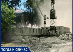Волгодонск прежде и теперь: от голой степи к тенистому переулку Волгодонск прежде и теперь: от голой степи к тенистому переулку
