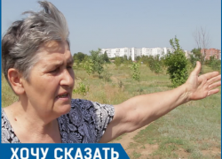 Мне стыдно перед погибшими, - пенсионерка из Волгодонска о состоянии аллеи Победы в парке «Молодежный» Мне стыдно перед погибшими, - пенсионерка из Волгодонска о состоянии аллеи Победы в парке «Молодежный»