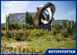 Тысячи цветов и заросли травы: такой разный Волгодонск Тысячи цветов и заросли травы: такой разный Волгодонск