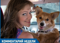 Отлов в Волгодонске существует уже много лет, но бездомных животных меньше не становится, - основатель организации «Делай добро» Алена Семина Отлов в Волгодонске существует уже много лет, но бездомных животных меньше не становится, - основатель организации «Делай добро» Алена Семина
