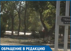 Спиливание деревьев напротив ТК «Сказка» вызвало массу вопросов у волгодонцев Спиливание деревьев напротив ТК «Сказка» вызвало массу вопросов у волгодонцев
