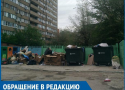 Бродячие животные растаскивают мусор по двору, - волгодонцы о свалке во дворе по проспекту Строителей Бродячие животные растаскивают мусор по двору, - волгодонцы о свалке во дворе по проспекту Строителей
