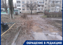«Сверху на нас сбрасывали огромные ветки»: волгодончанка призвала проверить квалификацию сотрудников «Уют-2» «Сверху на нас сбрасывали огромные ветки»: волгодончанка призвала проверить квалификацию сотрудников «Уют-2»