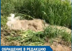 Администрация и «Водоканал» смеются людям в лицо, - волгодонцы о коммунальном «фонтане» на проспекте Мира Администрация и «Водоканал» смеются людям в лицо, - волгодонцы о коммунальном «фонтане» на проспекте Мира