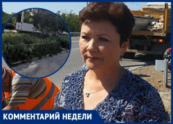 «В Волгодонске началась активная борьба с амброзией»: Елена Нигай «В Волгодонске началась активная борьба с амброзией»: Елена Нигай