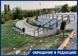 Безобразие и свинство: волгодонцы возмущены состоянием городского сквера на набережной у ТРЦ Безобразие и свинство: волгодонцы возмущены состоянием городского сквера на набережной у ТРЦ