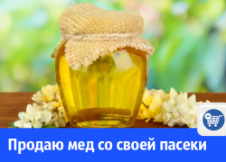 В Волгодонске продают майский мед В Волгодонске продают майский мед