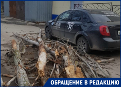 Разбушевавшийся ветер повалил сухие деревья на автомобили на Ленина Разбушевавшийся ветер повалил сухие деревья на автомобили на Ленина