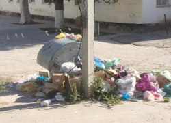 Падальные мухи появились в квартирах волгодонцев из-за гор мусора на улице Горького, - читатель Падальные мухи появились в квартирах волгодонцев из-за гор мусора на улице Горького, - читатель