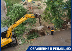 “Нас лишили красивого дерева”: волгодонцы рассказали, как Водоканал уничтожил растительность “Нас лишили красивого дерева”: волгодонцы рассказали, как Водоканал уничтожил растительность
