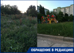 «Свалки мусора, высокая трава и переполненные урны»: волгодонцы показали забытую всеми территорию города «Свалки мусора, высокая трава и переполненные урны»: волгодонцы показали забытую всеми территорию города
