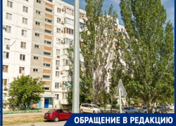 «Мы сами воспитываем такую молодежь»: волгодончанка возмущена безразличием людей к бездомным кошкам «Мы сами воспитываем такую молодежь»: волгодончанка возмущена безразличием людей к бездомным кошкам