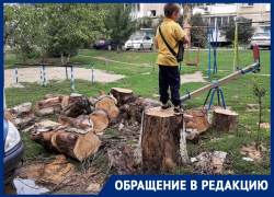После публикации в «Блокноте» спилили опасный сухостой на Пионерской, но жители все еще под угрозой После публикации в «Блокноте» спилили опасный сухостой на Пионерской, но жители все еще под угрозой