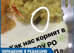 Студенты техникума ВТИТБиД пожаловались на тараканов в еде из столовой Студенты техникума ВТИТБиД пожаловались на тараканов в еде из столовой