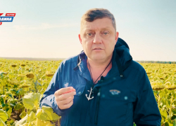 «Верните рынки сбыта!»: Олег Пахолков потребовал спасти сельское хозяйство запретом крупных торговых сетей «Верните рынки сбыта!»: Олег Пахолков потребовал спасти сельское хозяйство запретом крупных торговых сетей