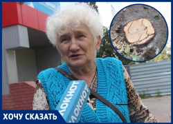 «Они уничтожили 30-летние деревья»: волгодонцы возмущены вырубкой деревьев «Они уничтожили 30-летние деревья»: волгодонцы возмущены вырубкой деревьев