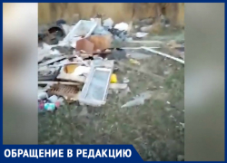 «Горы мусора и мертвый скот»: люди показали стихийные свалки в Волгодонском районе «Горы мусора и мертвый скот»: люди показали стихийные свалки в Волгодонском районе