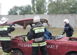 Пожарные и спасатели устроили показательные учения Пожарные и спасатели устроили показательные учения