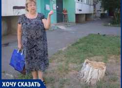 «Роскошную акацию уничтожили вместе с гнездами птиц»: жительница В-7 о рубке деревьев «Роскошную акацию уничтожили вместе с гнездами птиц»: жительница В-7 о рубке деревьев